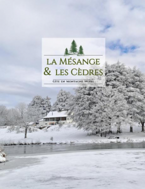 Maison vue sur lac en moyenne montagne